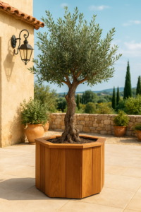 Plantenbak Fraké Klein